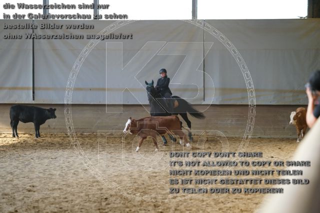 s_K3F02398.JPG